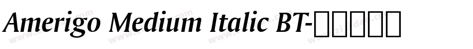 Amerigo Medium Italic BT字体转换